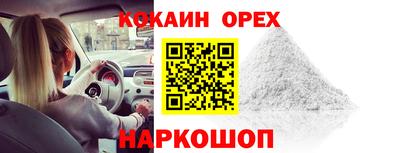сатива Гатчина
