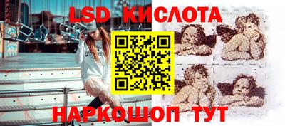 сатива Гатчина