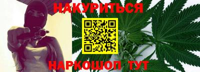сатива Гатчина