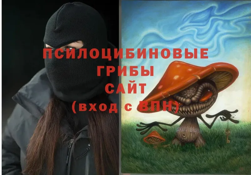 Галлюциногенные грибы Psilocybe  купить наркоту  Коммунар 