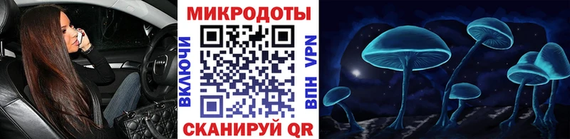 OMG tor Коммунар Псилоцибиновые грибы Cubensis