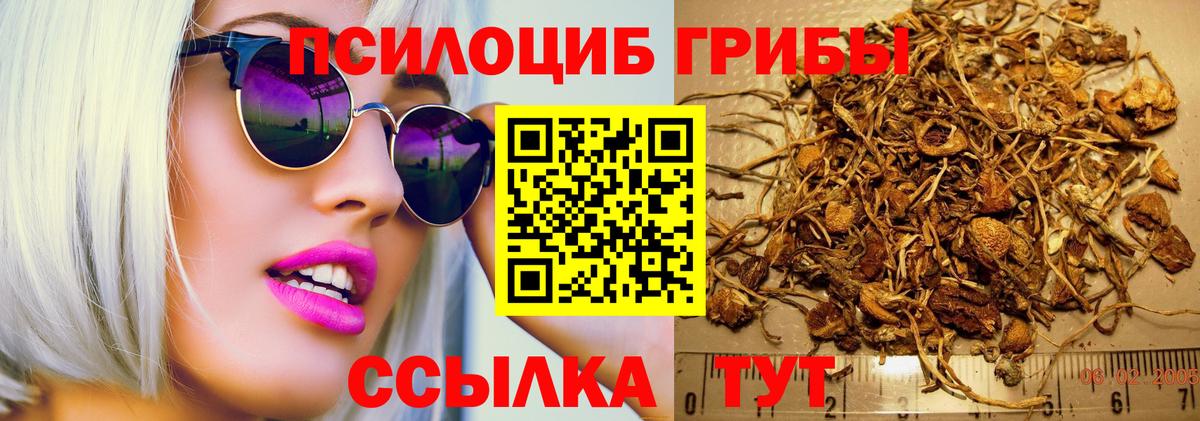 Коммунар  Галлюциногенные грибы Cubensis  Вход с VPN 